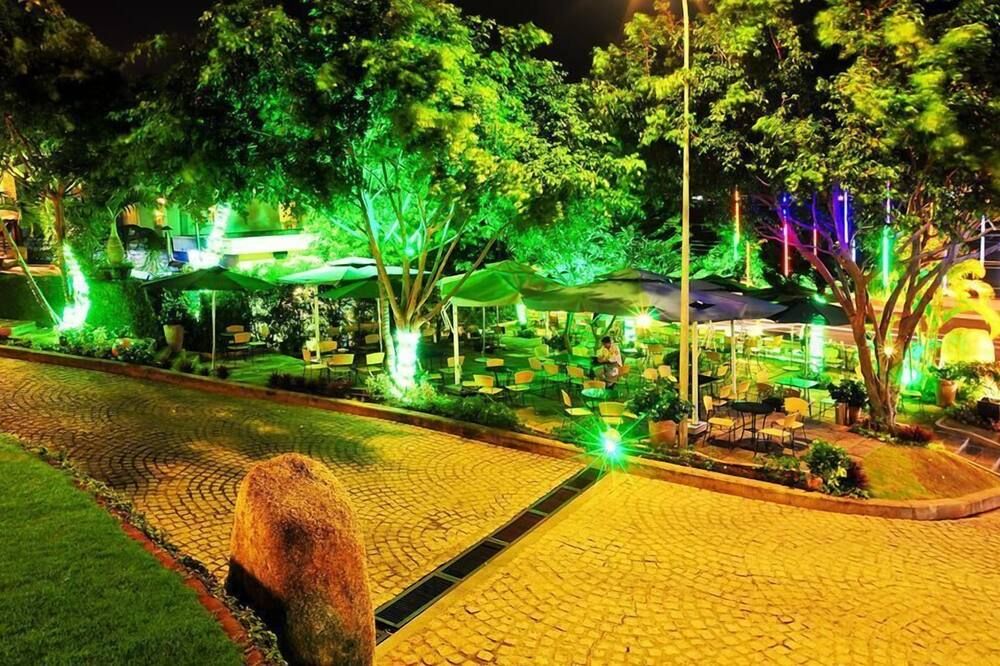 屋外の景色
