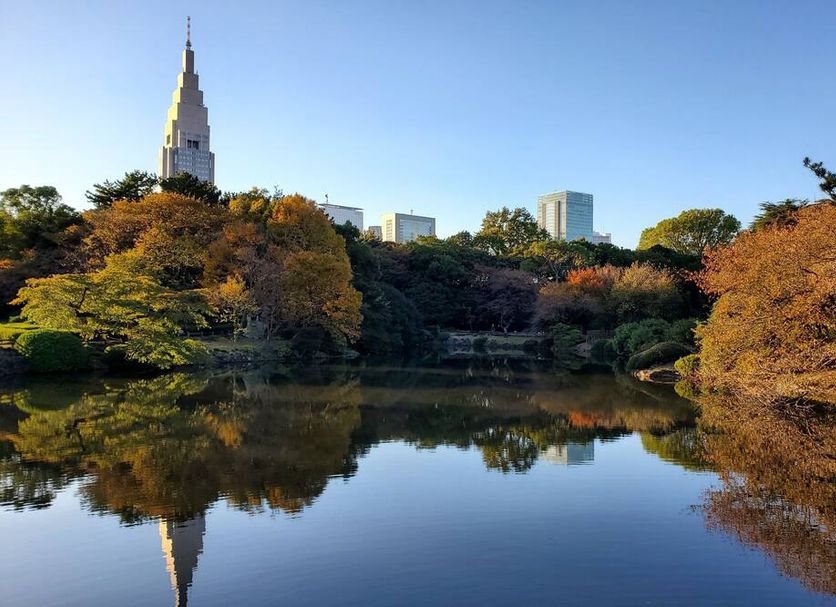 屋外の景色 写真