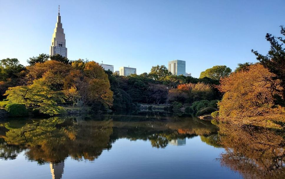 屋外の景色 写真