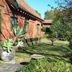 屋外の景色