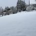 屋外の景色