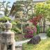 屋外の景色