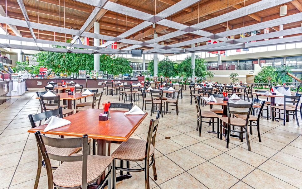 レストラン 写真