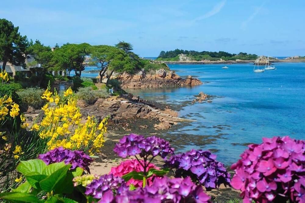 屋外の景色