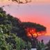屋外の景色