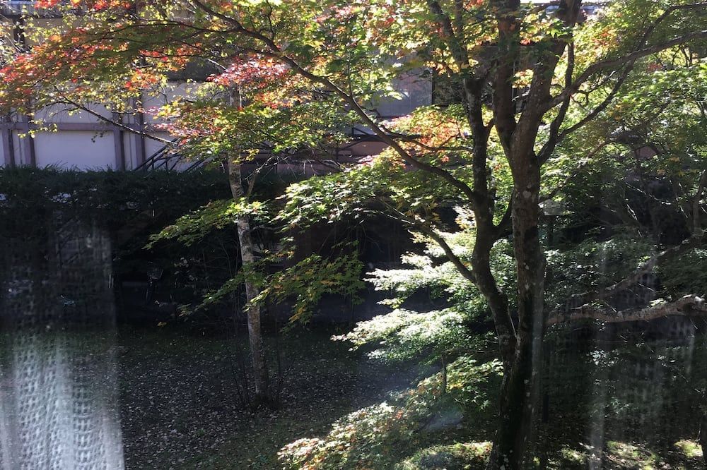 屋外の景色