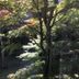 屋外の景色