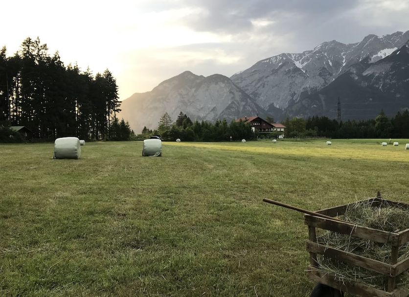 屋外の景色 写真
