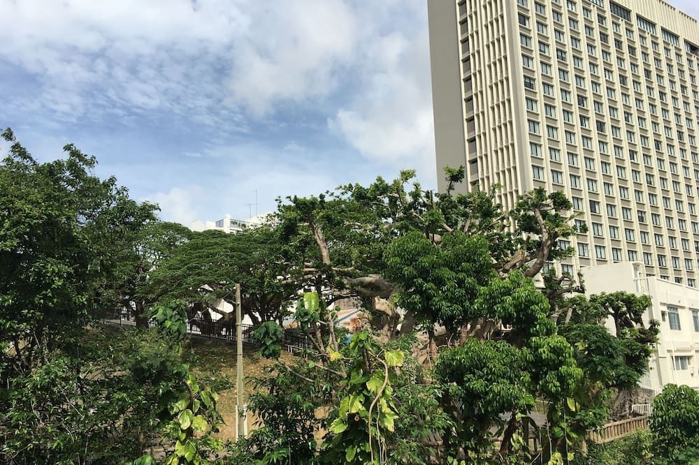 屋外の景色