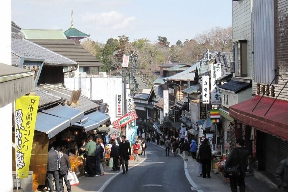 屋外の景色