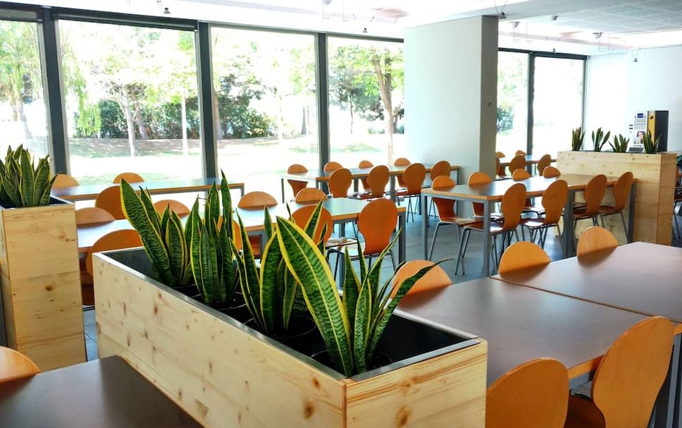 レストラン 写真