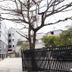 屋外の景色
