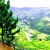 屋外の景色