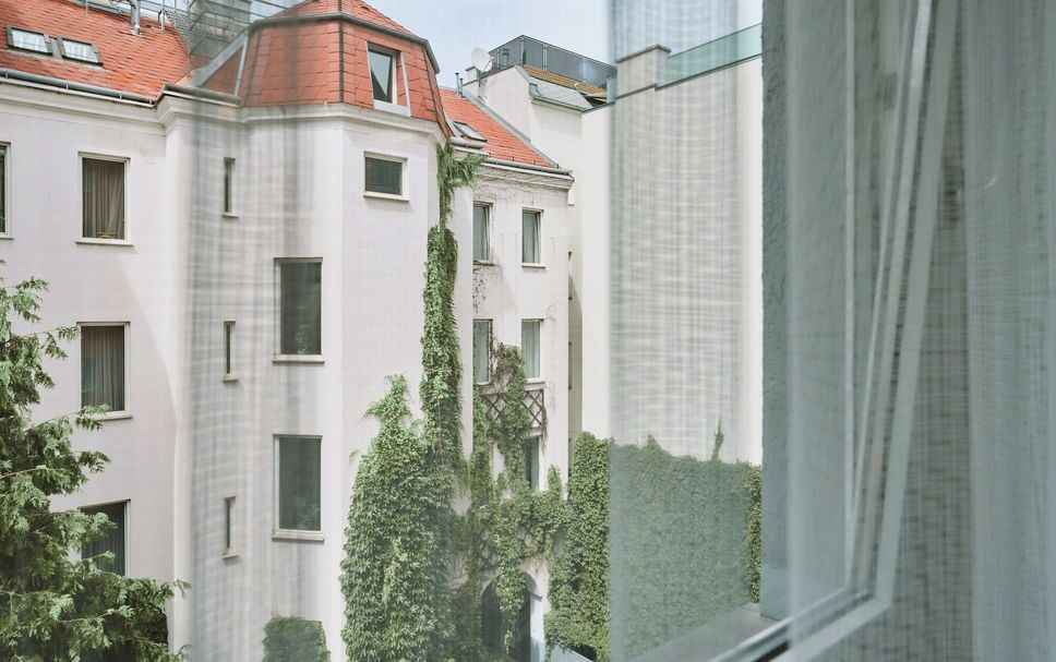 屋外の景色 写真