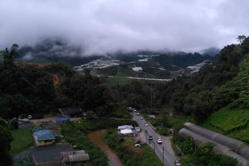 屋外の景色