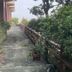 屋外の景色
