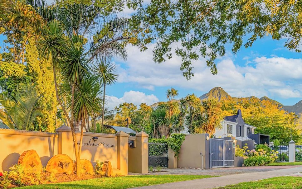 屋外の景色 写真