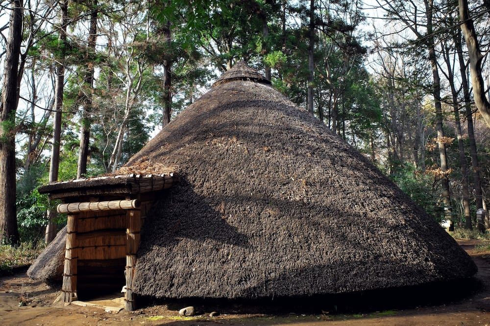 屋外の景色