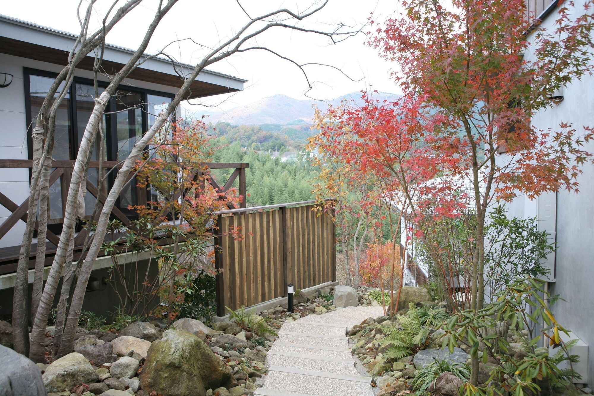 屋外の景色