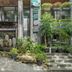屋外の景色