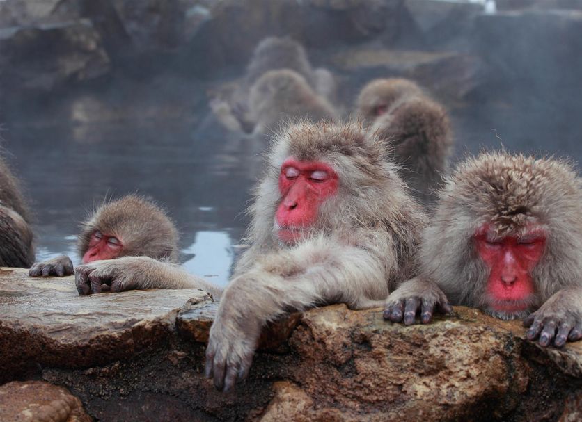 その他 写真