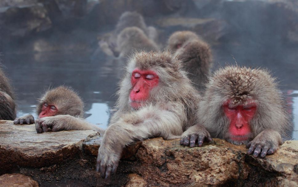 その他 写真