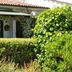 屋外の景色