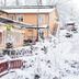 屋外の景色