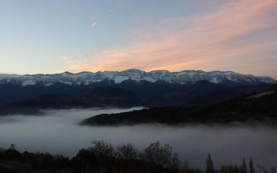 屋外の景色 写真