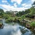 屋外の景色