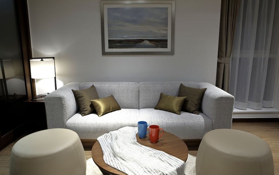 リビングルーム 写真