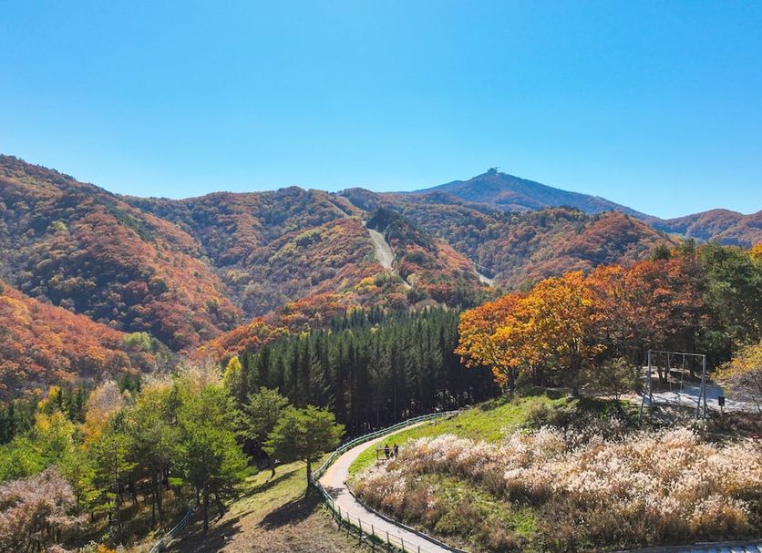 屋外の景色 写真