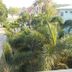 屋外の景色