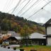 屋外の景色