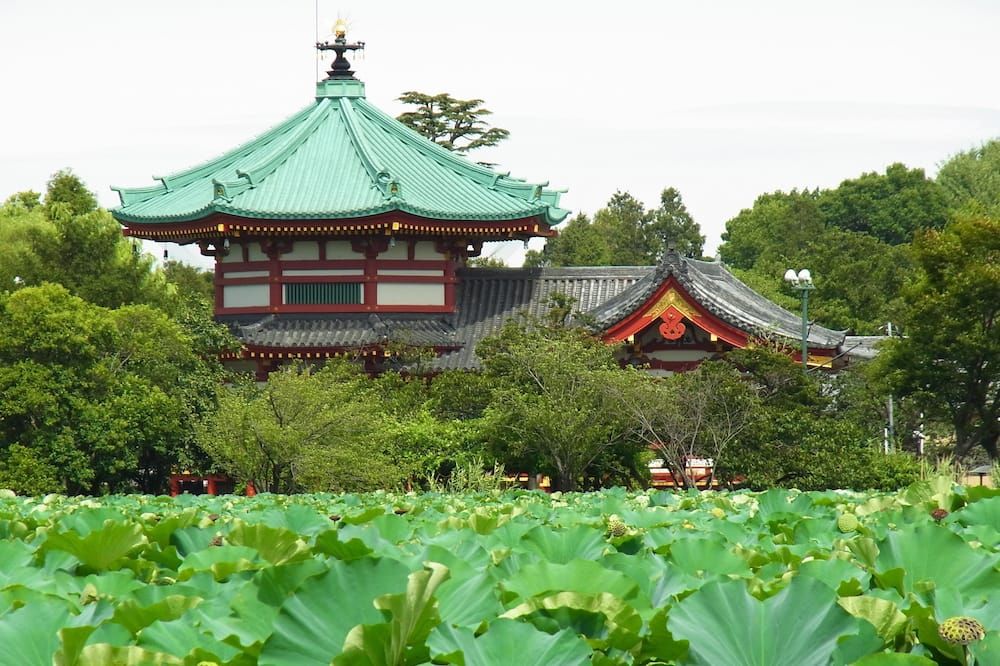 屋外の景色