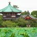 屋外の景色