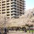 屋外の景色