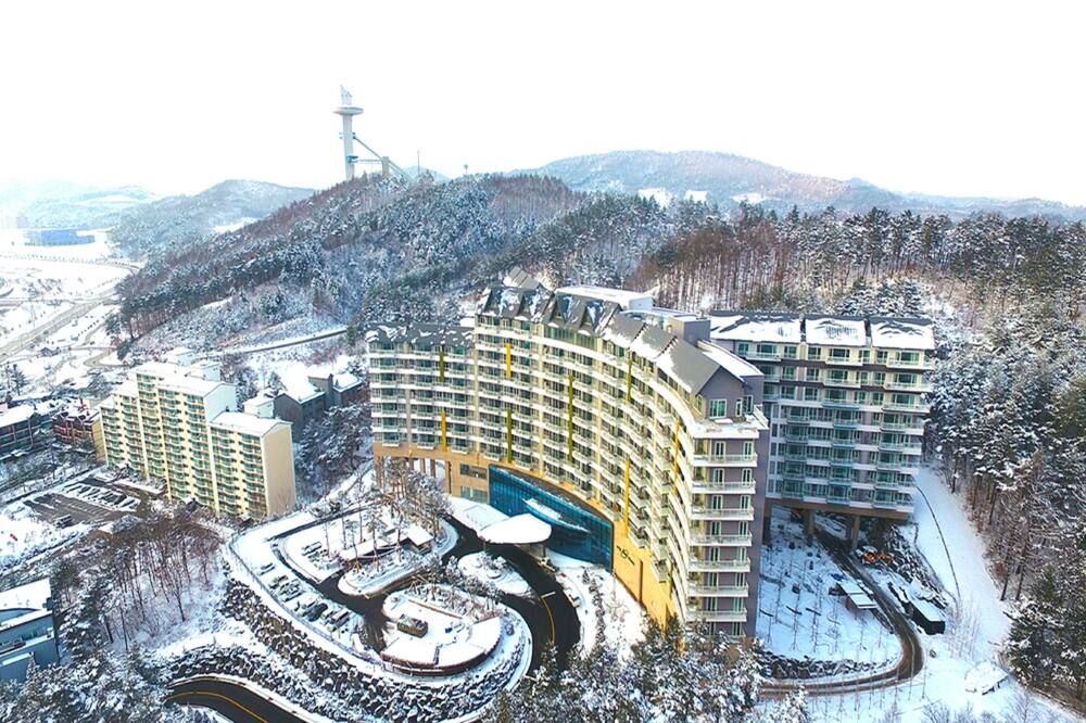 屋外の景色