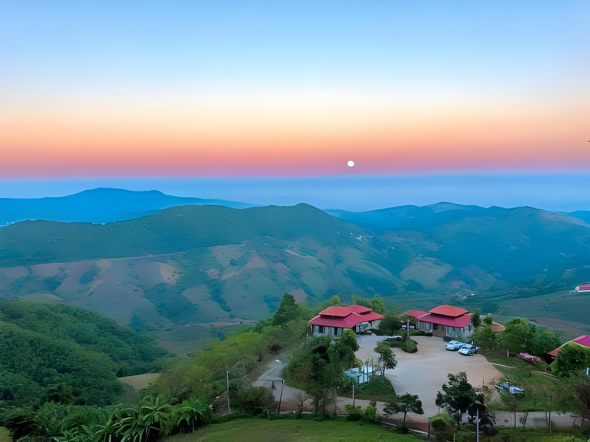 屋外の景色
