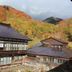 屋外の景色