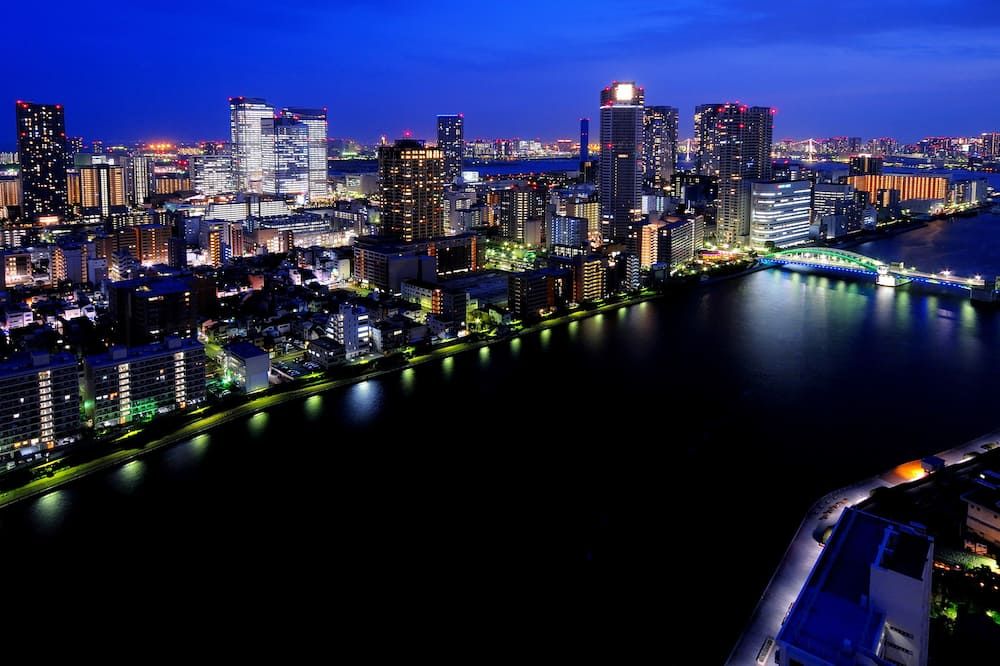 屋外の景色