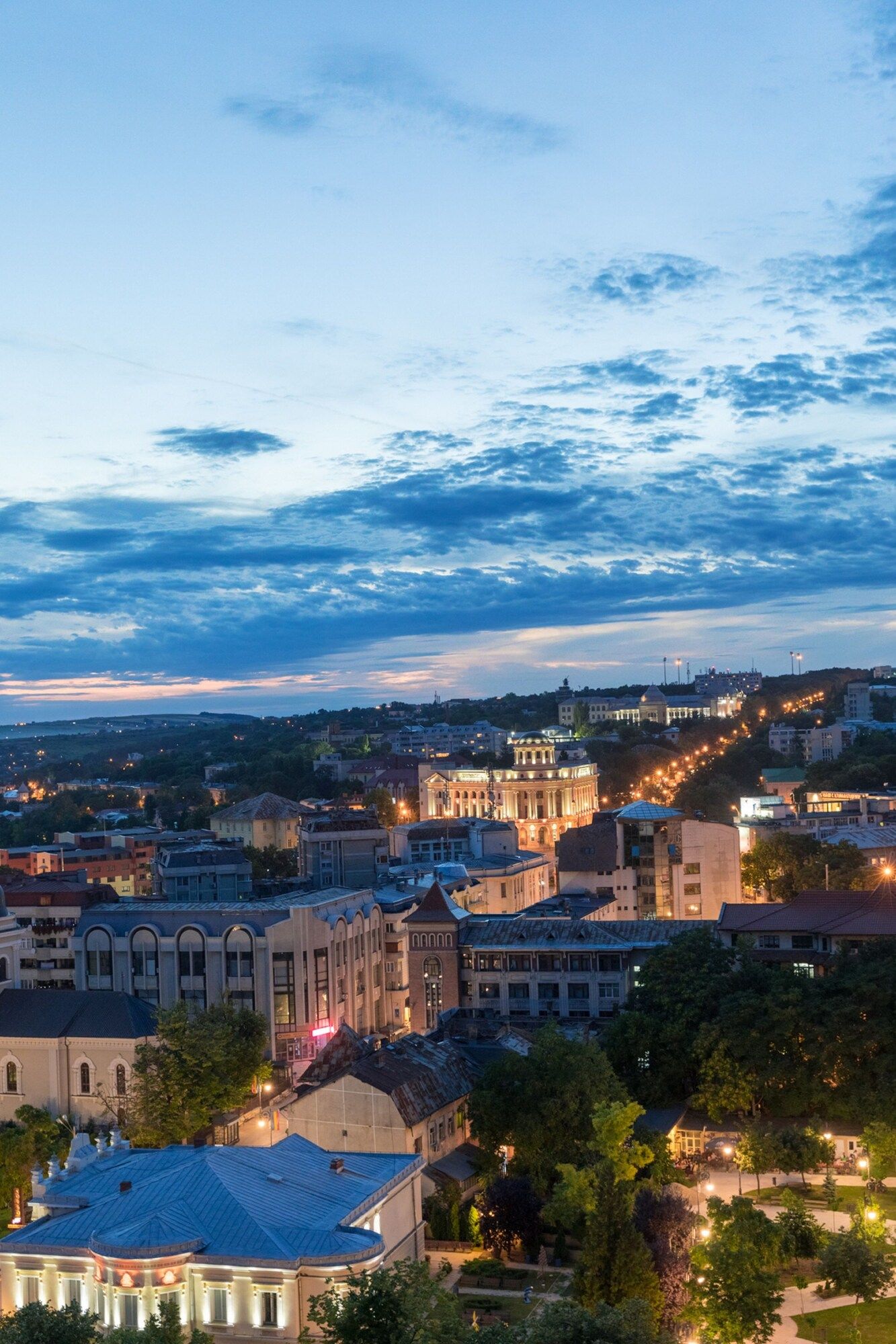 屋外の景色