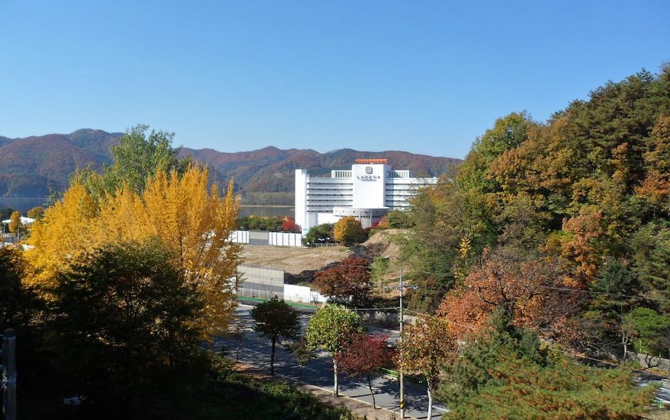 屋外の景色 写真