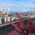 屋外の景色