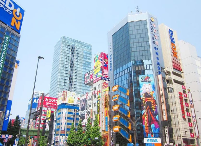 屋外の景色 写真
