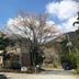 屋外の景色