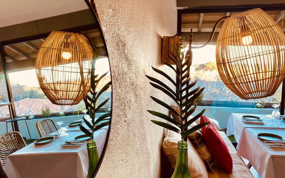 レストラン 写真