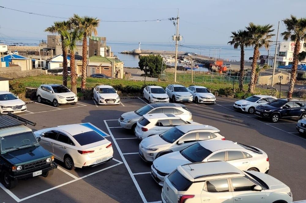 屋外の景色