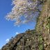 屋外の景色
