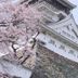 屋外の景色